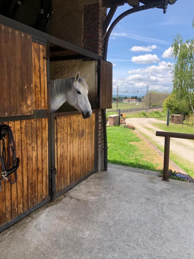 B&B Tenuta Legnate Sesto Calende Luaran gambar